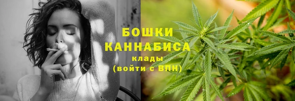 прущий лед Вязьма