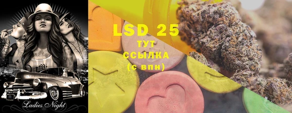 PSILOCYBIN Вяземский