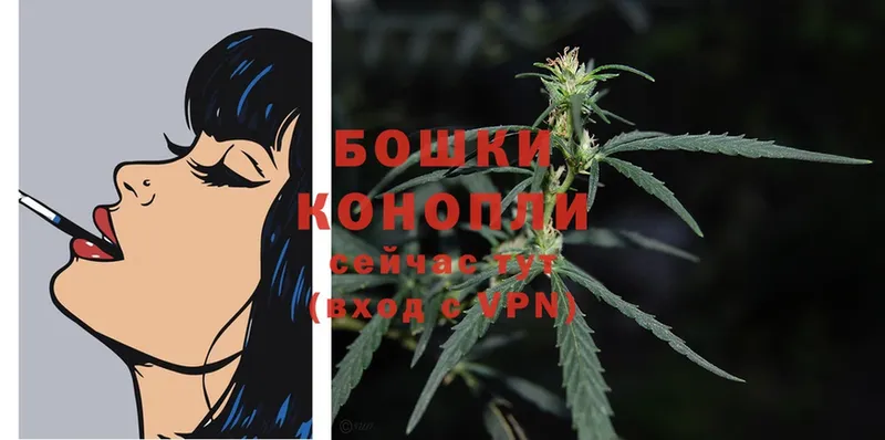 Бошки Шишки White Widow  Шарыпово 